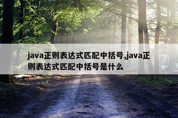 java正则表达式匹配中括号,java正则表达式匹配中括号是什么