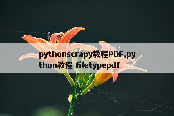 pythonscrapy教程PDF,python教程 filetypepdf
