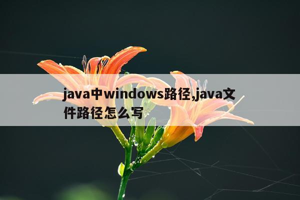 java中windows路径,java文件路径怎么写