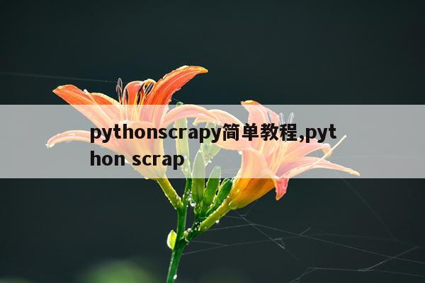 pythonscrapy简单教程,python scrap