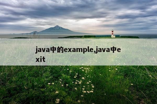 java中的example,java中exit