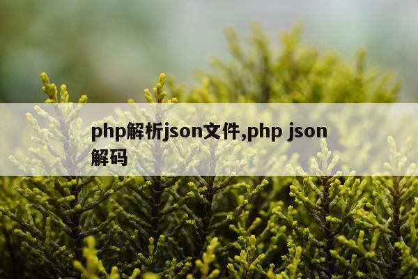 php解析json文件,php json解码