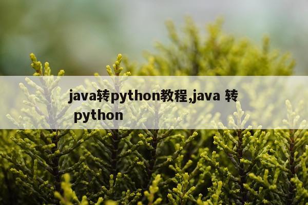java转python教程,java 转 python