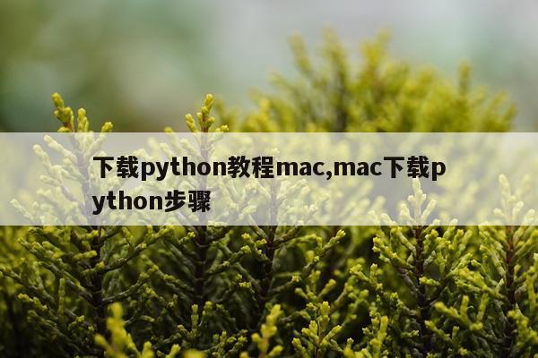 下载python教程mac,mac下载python步骤