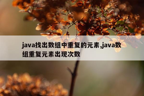 java找出数组中重复的元素,java数组重复元素出现次数
