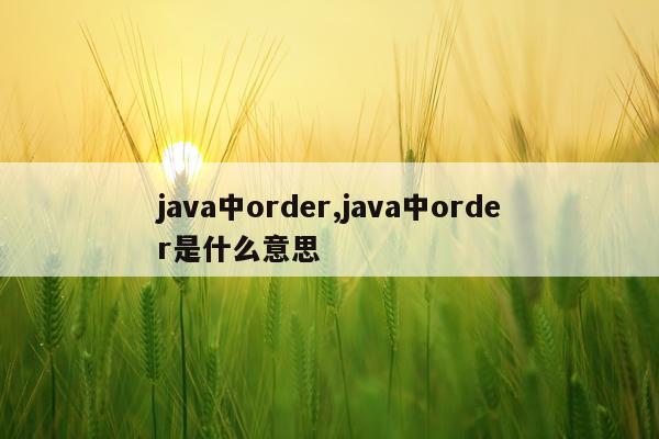 java中order,java中order是什么意思