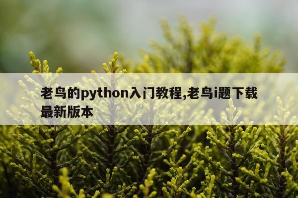 老鸟的python入门教程,老鸟i题下载最新版本