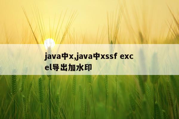 java中x,java中xssf excel导出加水印