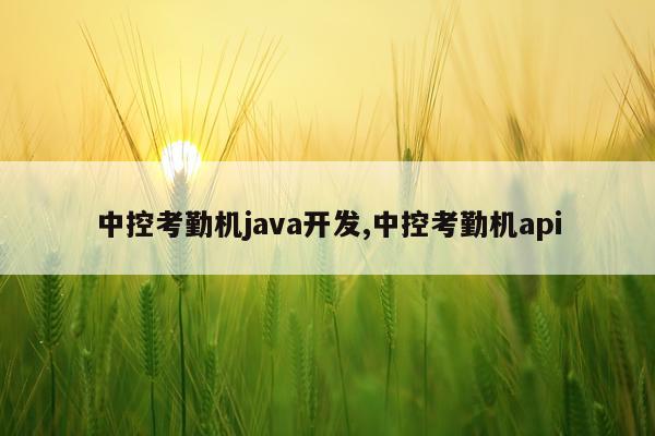 中控考勤机java开发,中控考勤机api