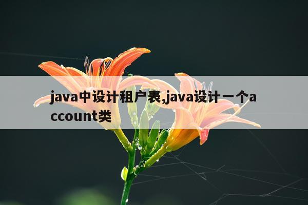 java中设计租户表,java设计一个account类