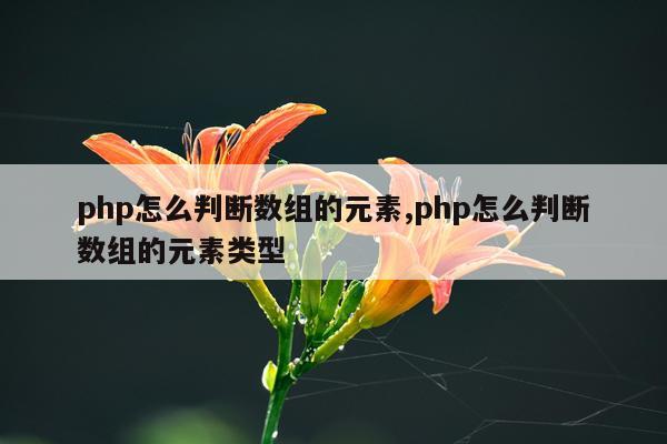 php怎么判断数组的元素,php怎么判断数组的元素类型
