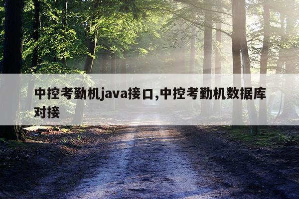 中控考勤机java接口,中控考勤机数据库对接