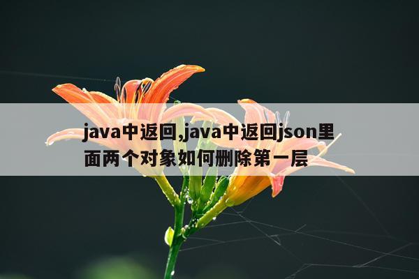 java中返回,java中返回json里面两个对象如何删除第一层