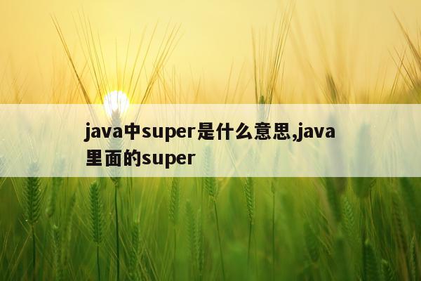 java中super是什么意思,java里面的super