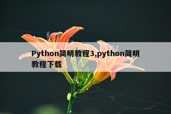 Python简明教程3,python简明教程下载