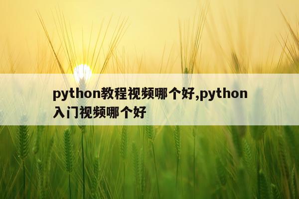 python教程视频哪个好,python入门视频哪个好
