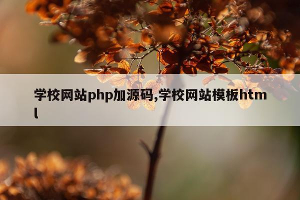 学校网站php加源码,学校网站模板html