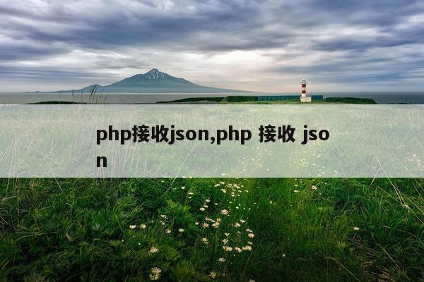 php接收json,php 接收 json