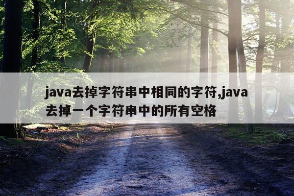 java去掉字符串中相同的字符,java去掉一个字符串中的所有空格