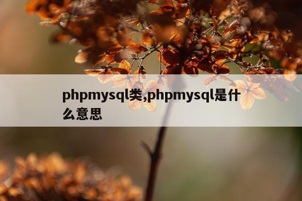 phpmysql类,phpmysql是什么意思
