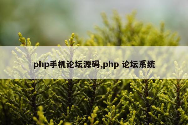 php手机论坛源码,php 论坛系统