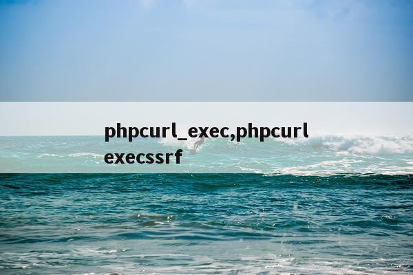phpcurl_exec,phpcurlexecssrf