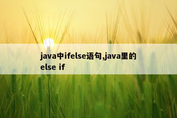java中ifelse语句,java里的else if