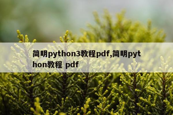 简明python3教程pdf,简明python教程 pdf