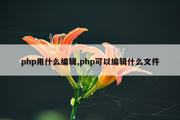 php用什么编辑,php可以编辑什么文件