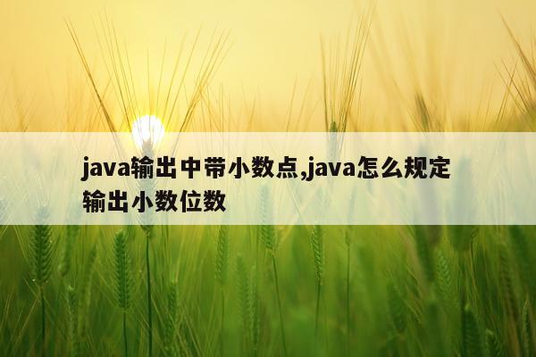 java输出中带小数点,java怎么规定输出小数位数