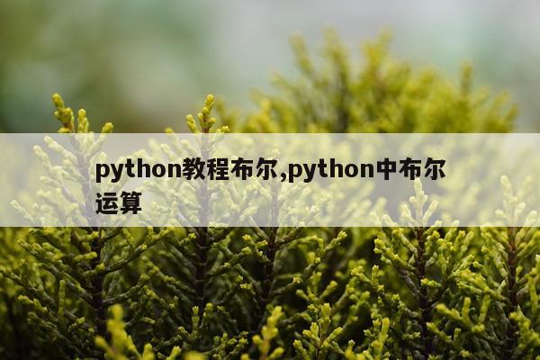 python教程布尔,python中布尔运算