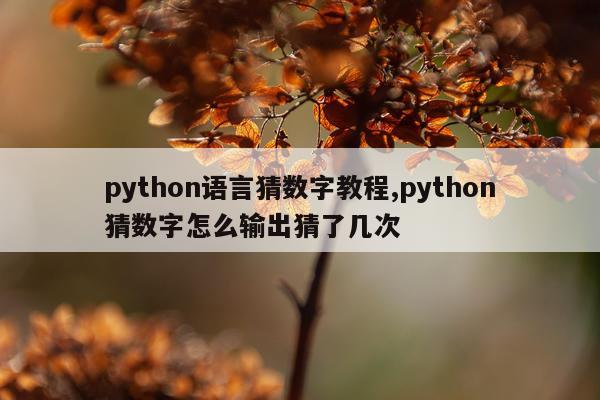 python语言猜数字教程,python猜数字怎么输出猜了几次