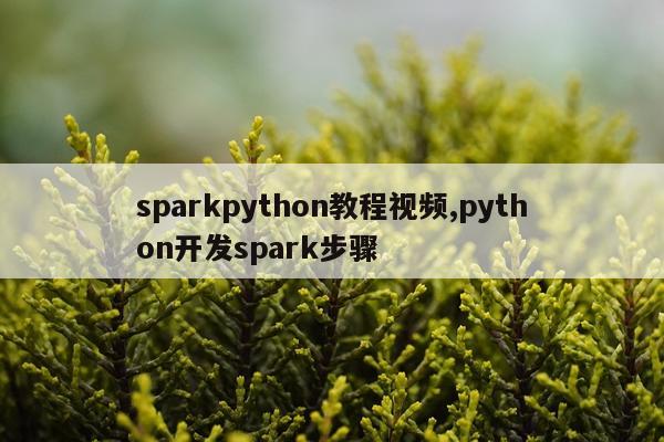 sparkpython教程视频,python开发spark步骤