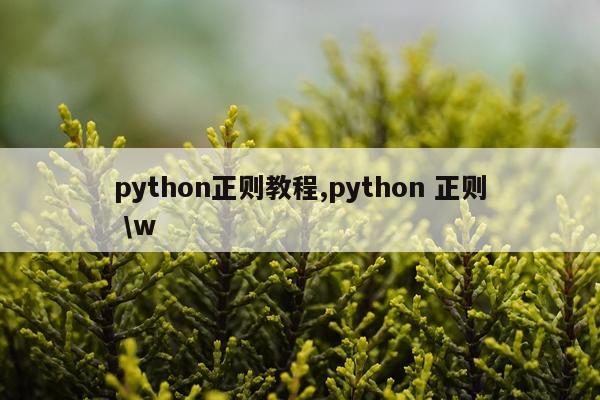 python正则教程,python 正则 \w