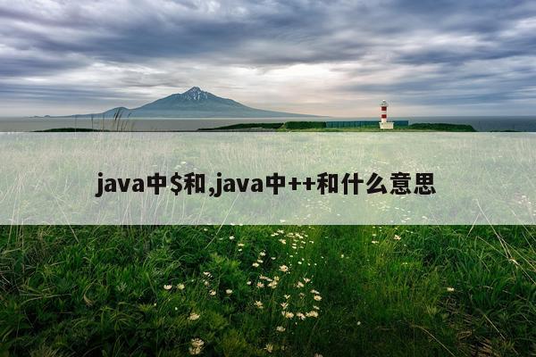 java中$和,java中++和什么意思