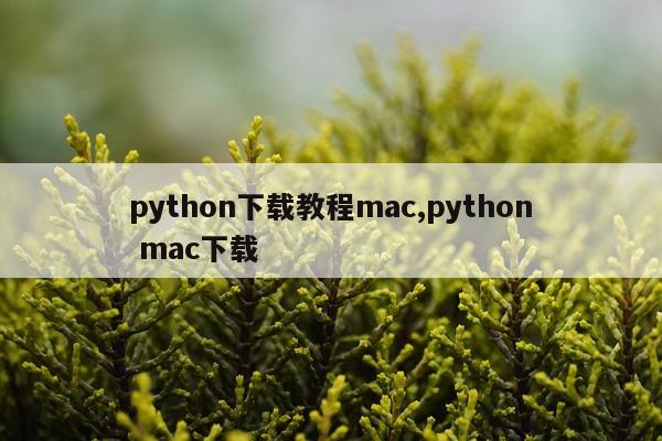 python下载教程mac,python mac下载