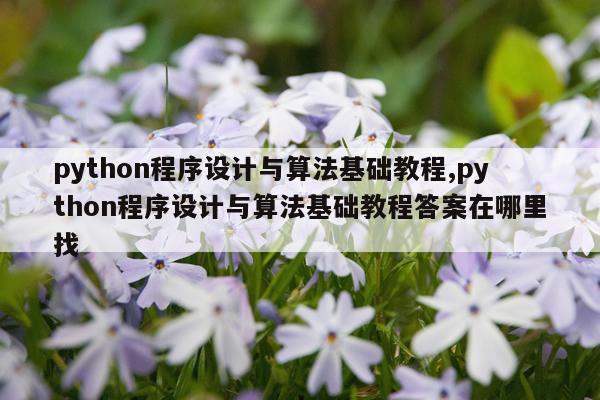 python程序设计与算法基础教程,python程序设计与算法基础教程答案在哪里找