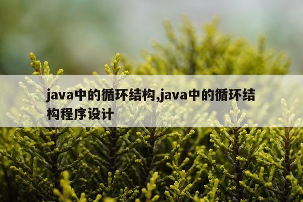 java中的循环结构,java中的循环结构程序设计