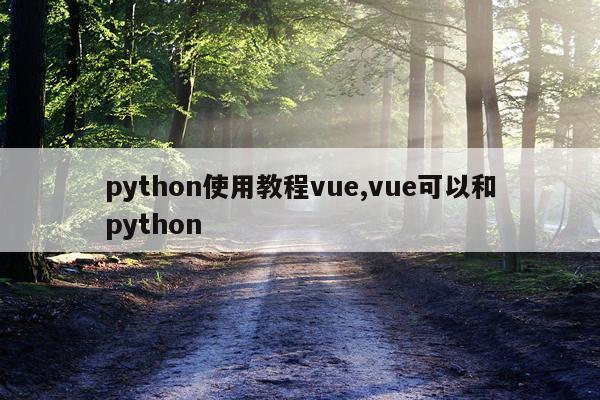 python使用教程vue,vue可以和python