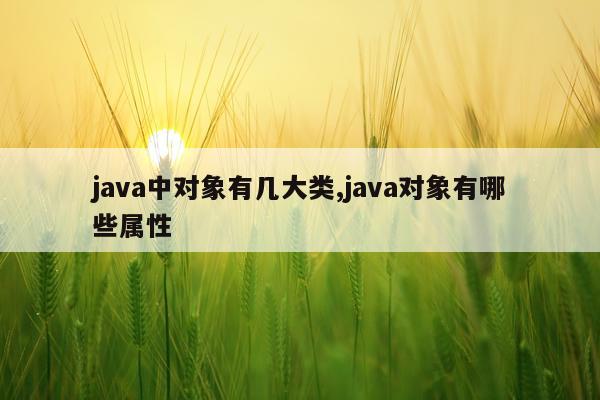 java中对象有几大类,java对象有哪些属性