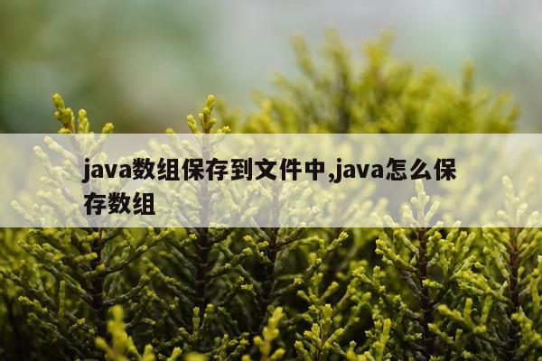 java数组保存到文件中,java怎么保存数组