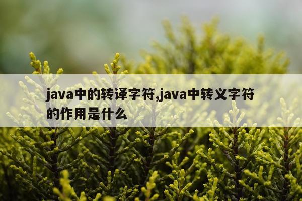 java中的转译字符,java中转义字符的作用是什么