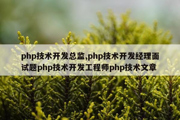 php技术开发总监,php技术开发经理面试题php技术开发工程师php技术文章