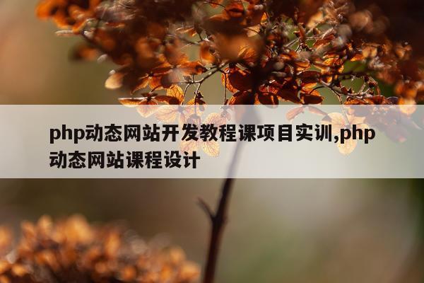 php动态网站开发教程课项目实训,php动态网站课程设计