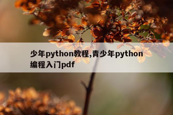 少年python教程,青少年python编程入门pdf