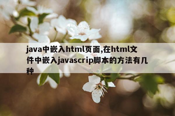 java中嵌入html页面,在html文件中嵌入javascrip脚本的方法有几种