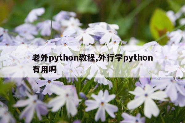 老外python教程,外行学python有用吗