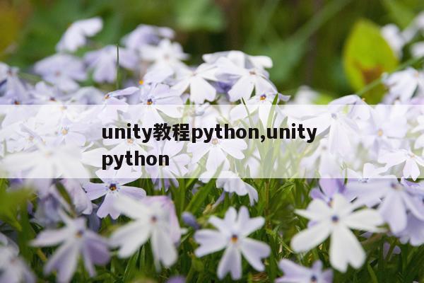 unity教程python,unity python