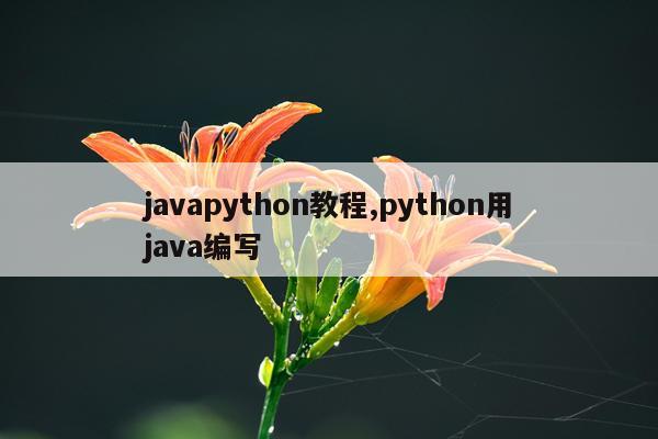javapython教程,python用java编写