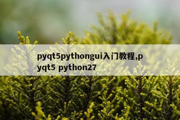 pyqt5pythongui入门教程,pyqt5 python27